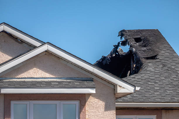 Top rated local Soot Cleanup specialists in Windsor, VA